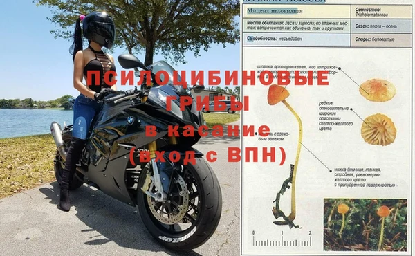 твердый Армянск